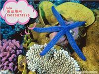 韓亞旅游信息咨詢(xún) 印度簽證材料簡(jiǎn)化、陸路代辦價(jià)格與票務(wù)代售服務(wù)詳解